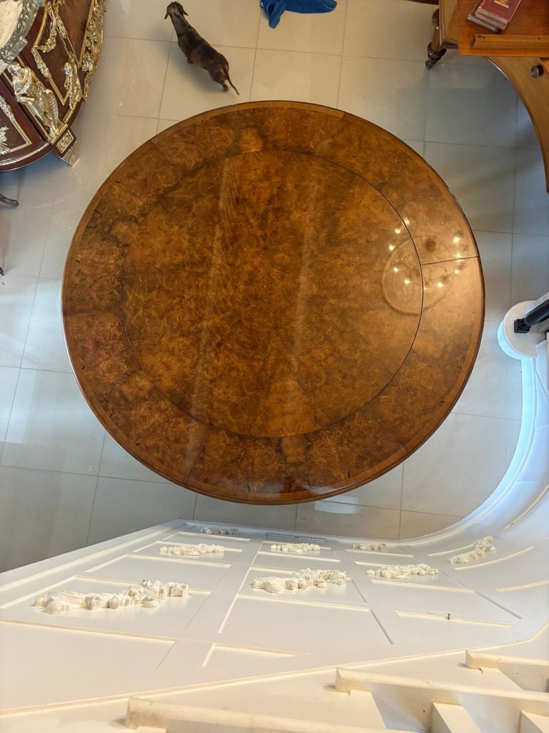Antique Exceptional Quality Burr Walnut Circular Extending Dining Table Seating 10 with Radial Leaves & Matching Burr Walnut Leaf Holder - Image 28